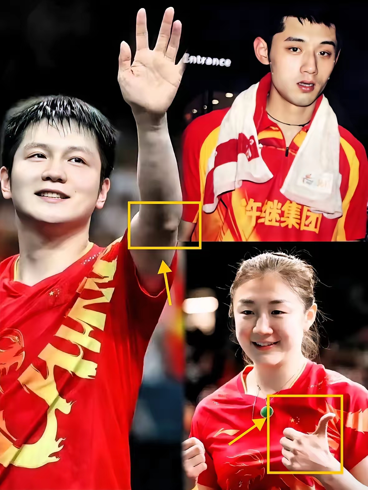 德国队横扫中国队,张继科刷新纪录 德国队横扫中国队,张继科刷新纪录