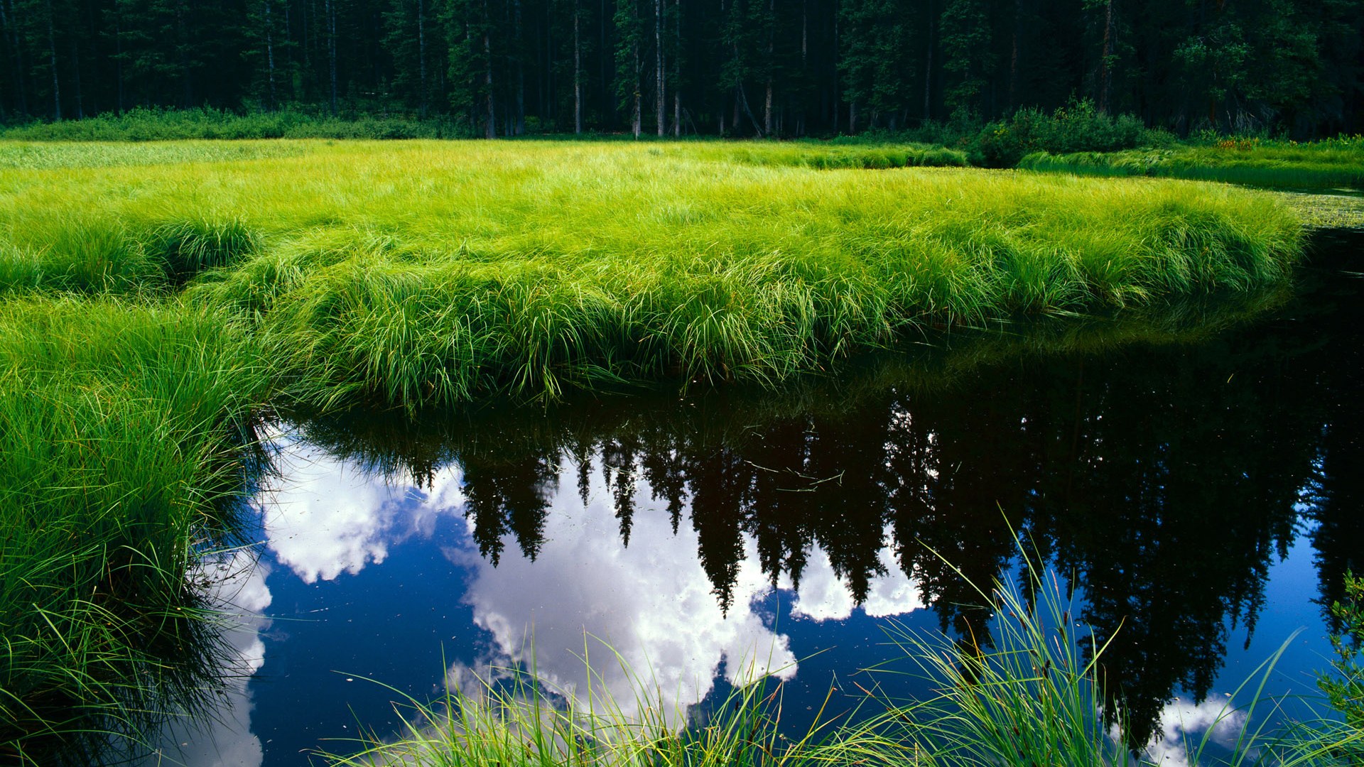 深度分析西亚卡姆破茧重生之战!他用29分撕碎尼克斯防线,快船诠释何为争冠级攻防