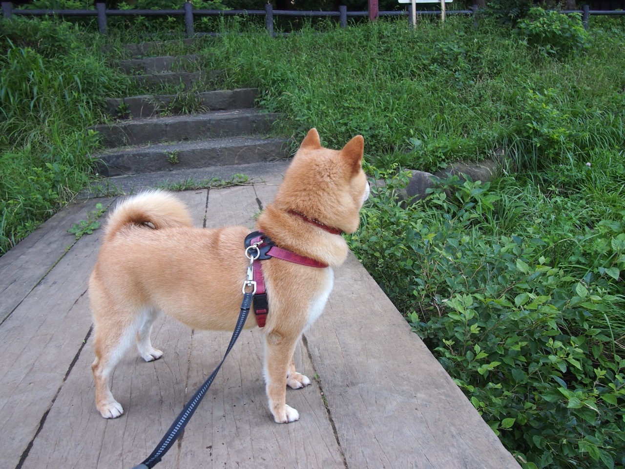 一剑封喉定义国家德比之夜,何以唯有阿什拉夫,配享这无争议的加冕?