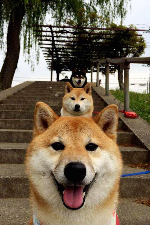 开云APP-冰与火，以及奥亚尔萨瓦尔磨亮的刃