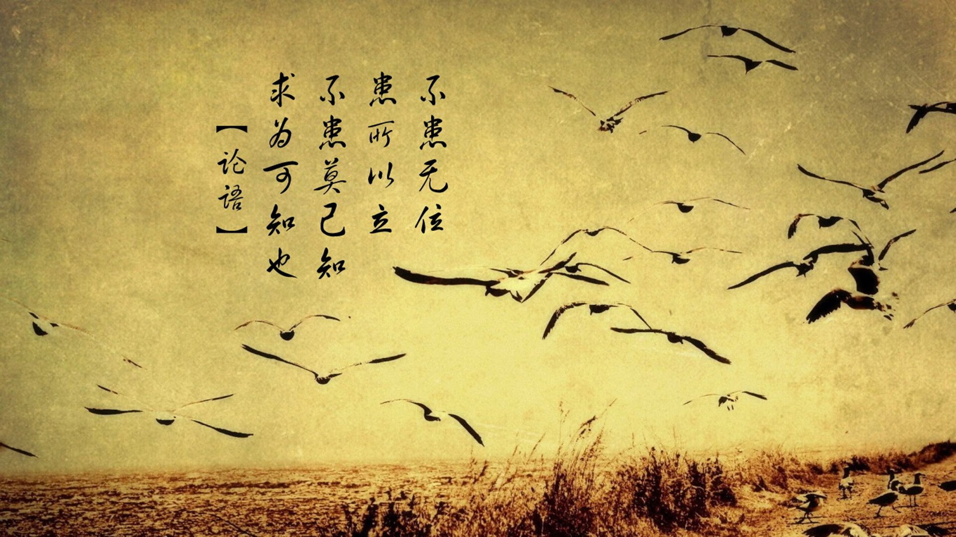 非门将的门将,库尔图瓦客串扑点,写就加纳与黄潜的黑色幽默史诗