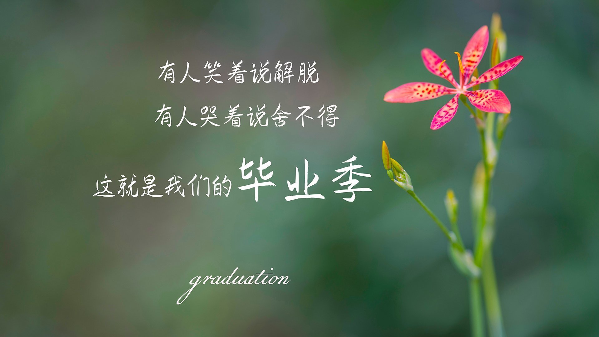 开云体育平台APP-阿根廷鏖战曼城，当弱旅的骨头磕碎豪门的牙齿，李刚仁成为那枚最硬的棋子