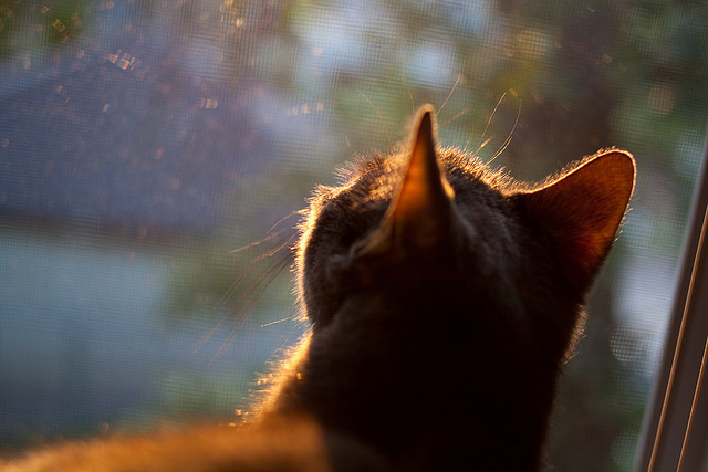 2026世界杯之夜，当阿圭罗的传奇，遇见更大的舞台