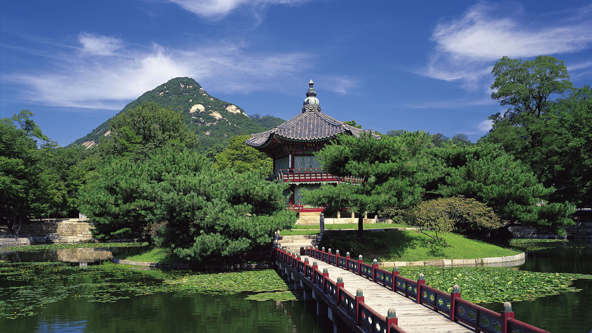 开云APP-静默的天平，当法国成为测量贝蒂斯的唯一尺度