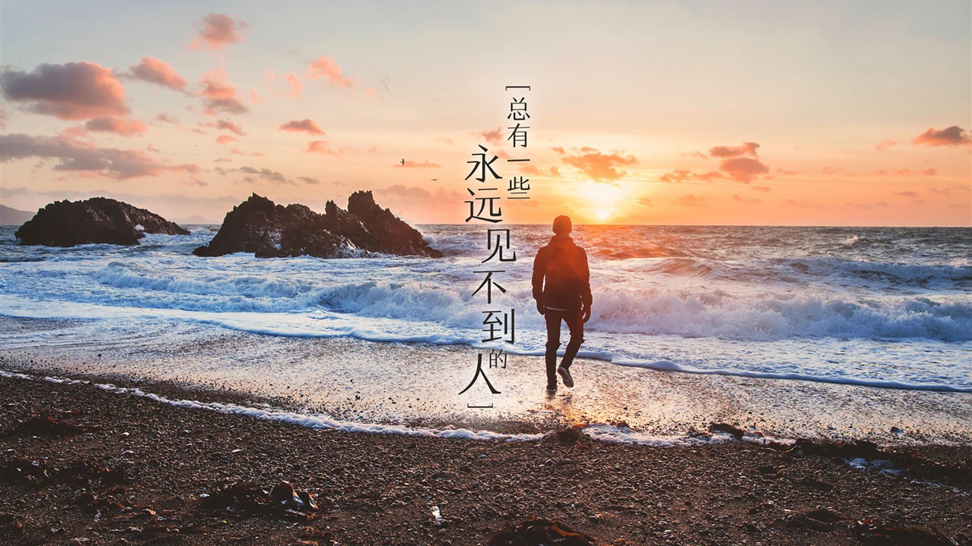 开云体育在线-两座球场的唯一主宰，当武切维奇同时逆转北京与定义欧洲之巅