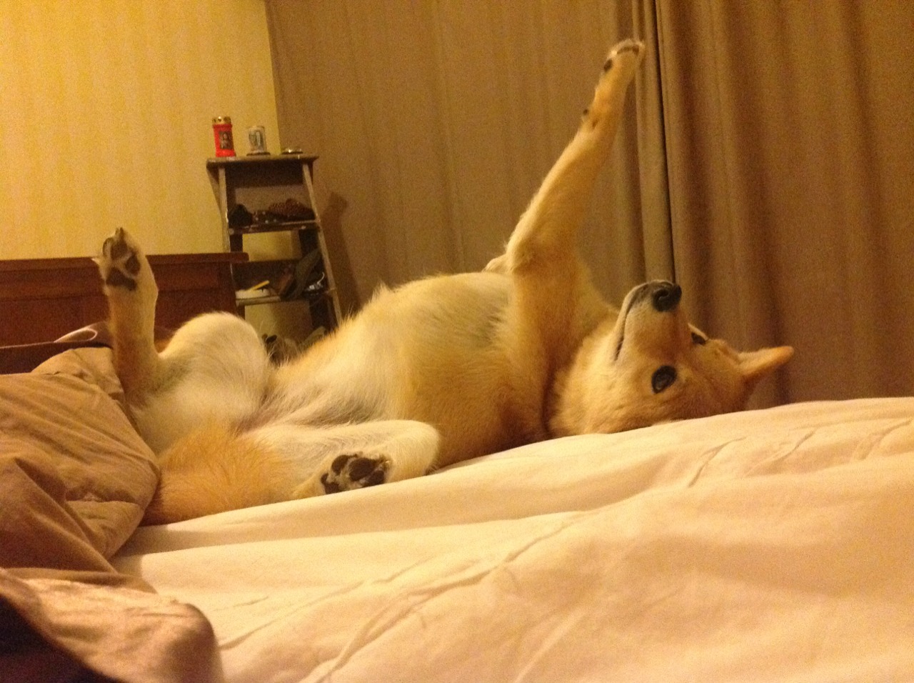 伦纳德爆砍40分主宰攻防，开拓者三节打卡提前终结山西队悬念