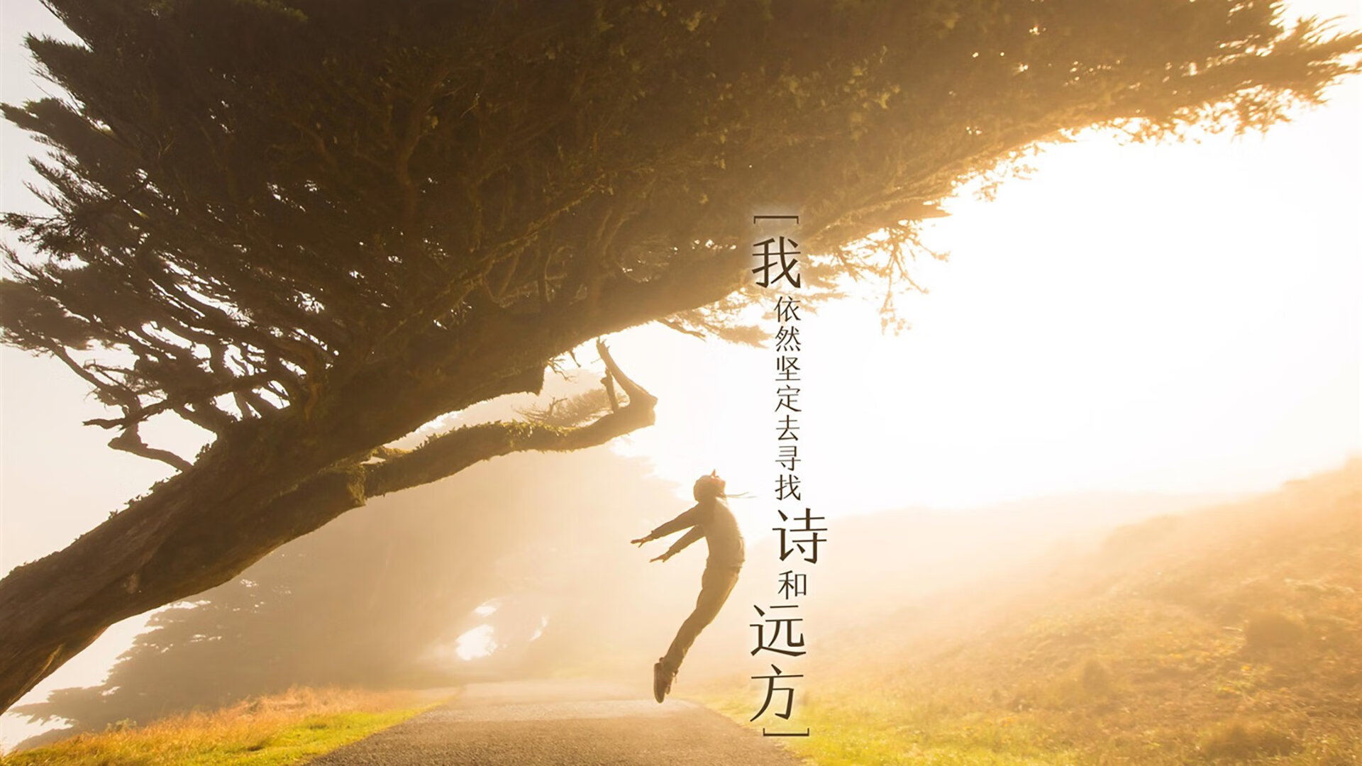 2026世界杯B组焦点战,巴西完胜日本,阿诺德一役封神