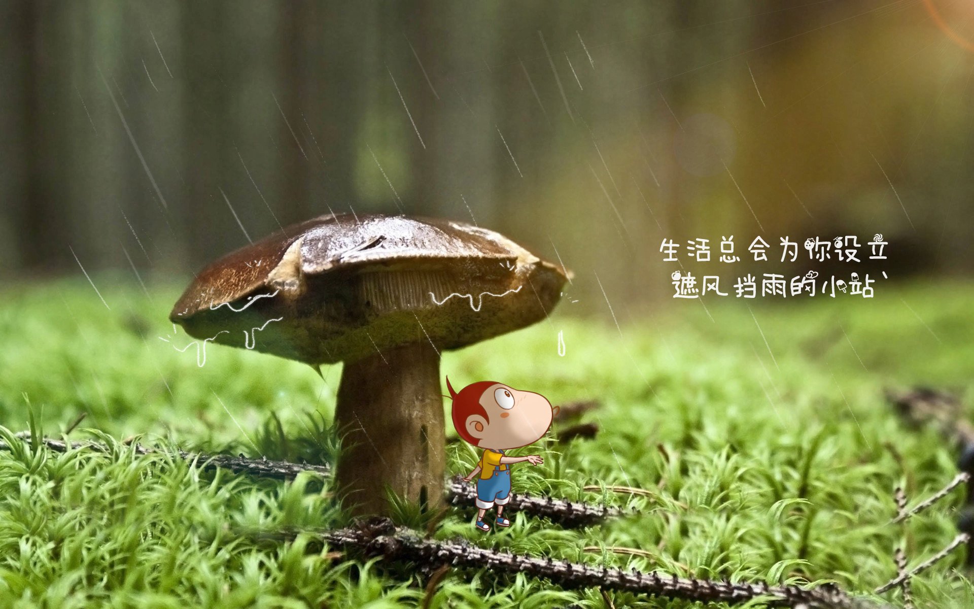 2026半决赛之夜,齐耶赫的孤勇,越南的奇迹,与一场改写足球地理的对决